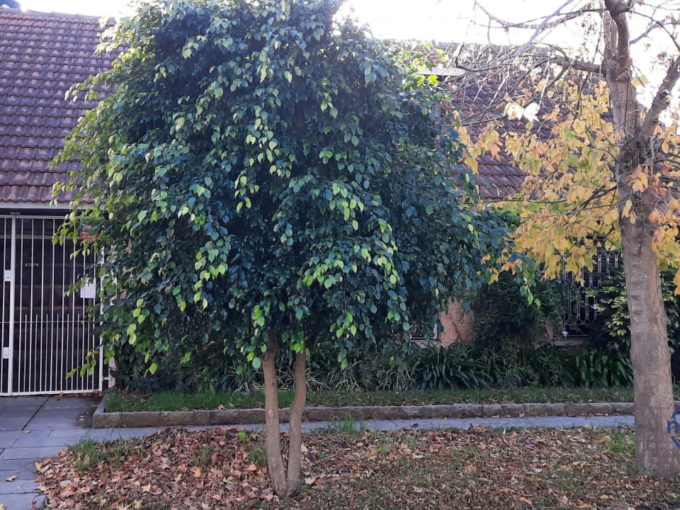 NESCA propiedades - Alquiler 24 Meses Casa en Parque Luro
